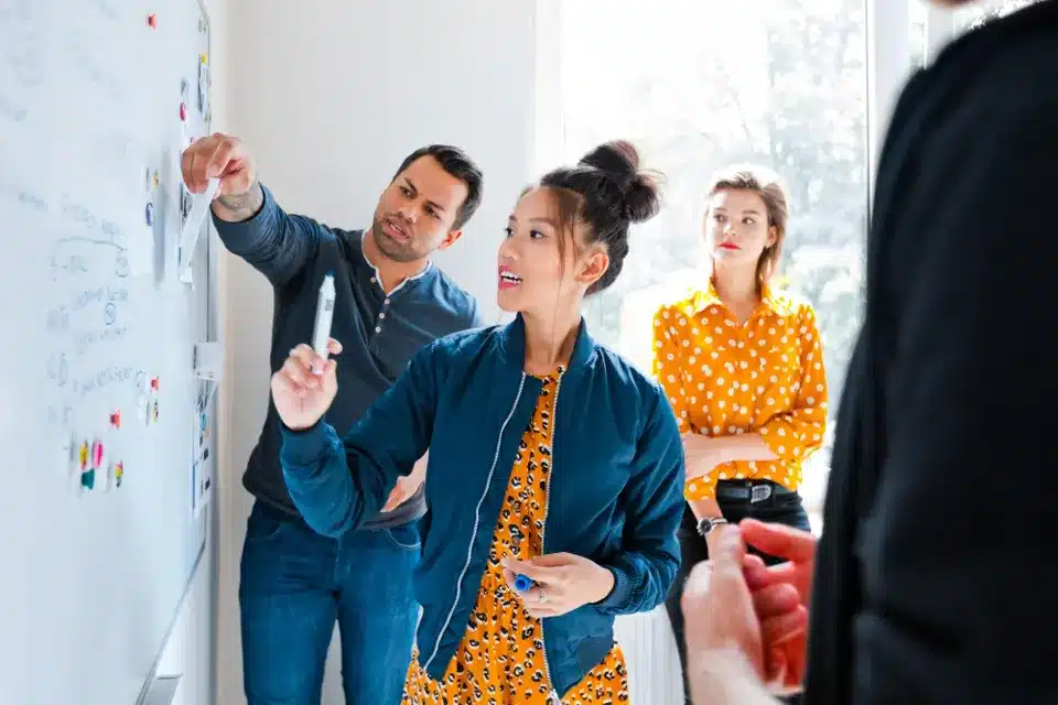 Lessons From Entrepreneurial Ventures That Large, Mature Companies Can Learn
